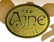 Ajne logo