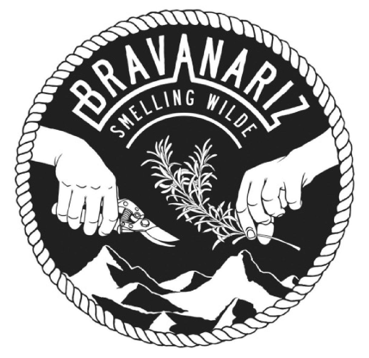 Bravanariz logo