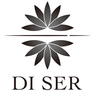 Di Ser logo