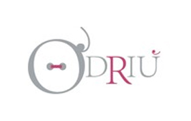 O Driu logo