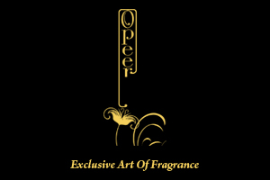 Opeer logo