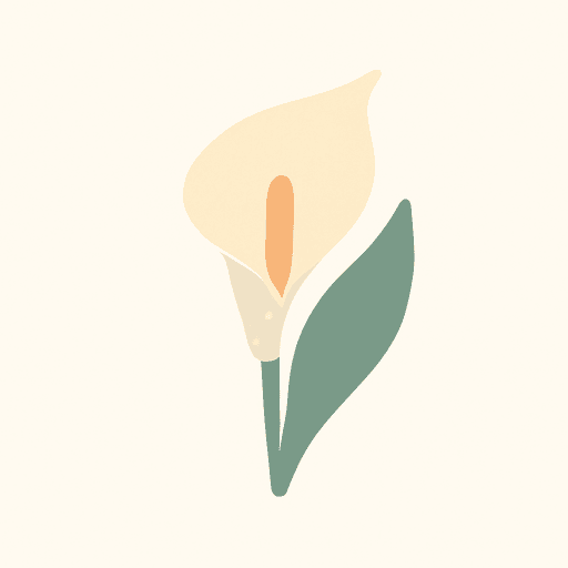 Arum Lily
