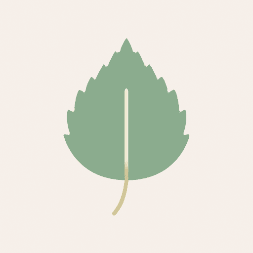 Birch Leaf