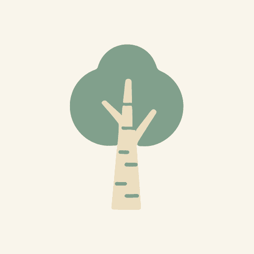 Birch
