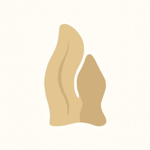 Blonde Woods
