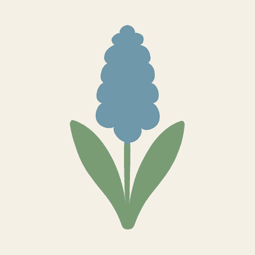blue hyacinth