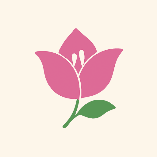 Bougainvillea