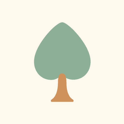 Cashmirwood