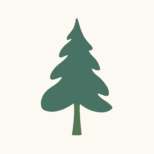 Chinese Cedar