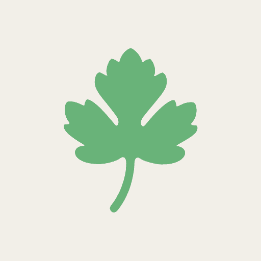 cilantro