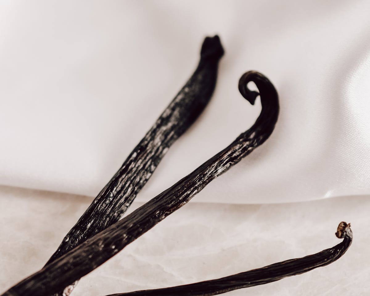 Coffee Tincture