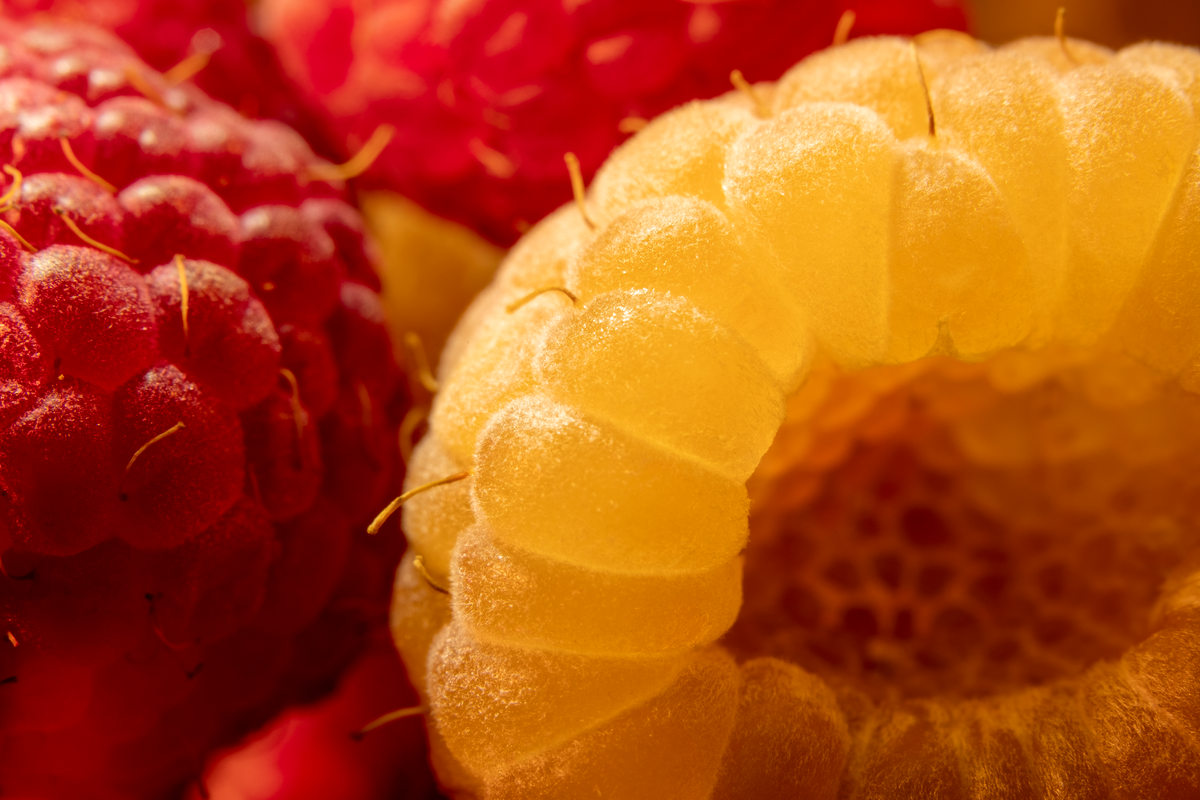 Water Fruit