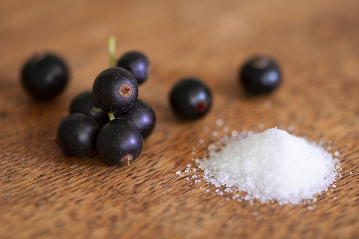 Black Currant