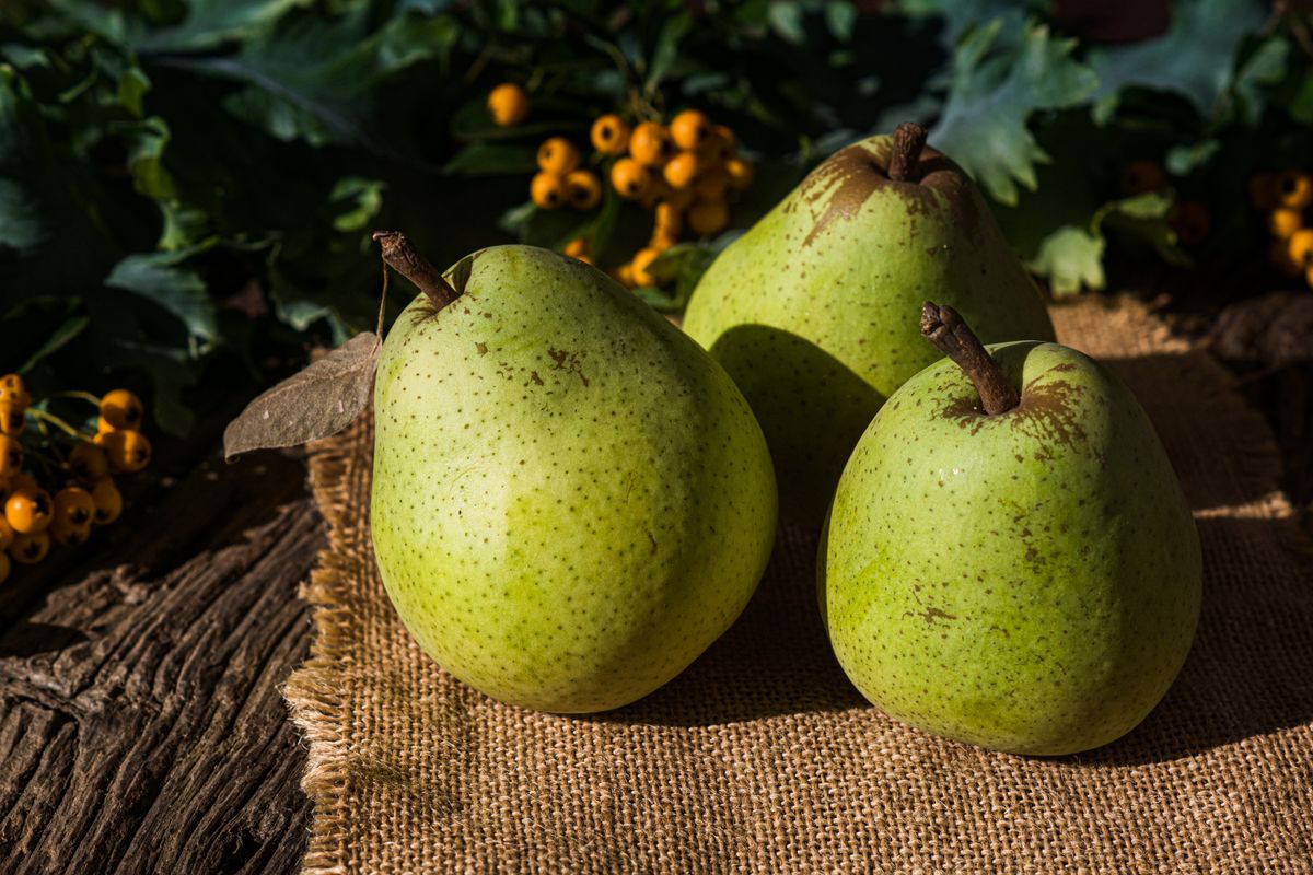 pear