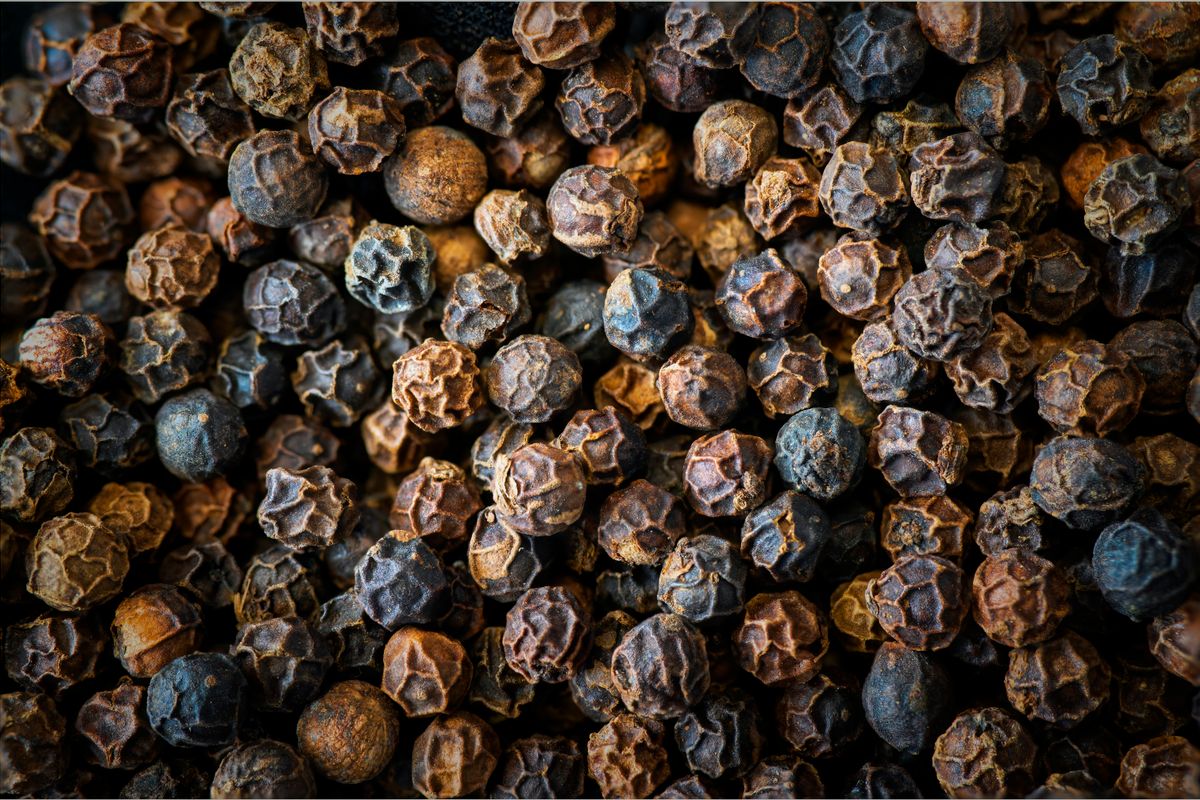 Pepper