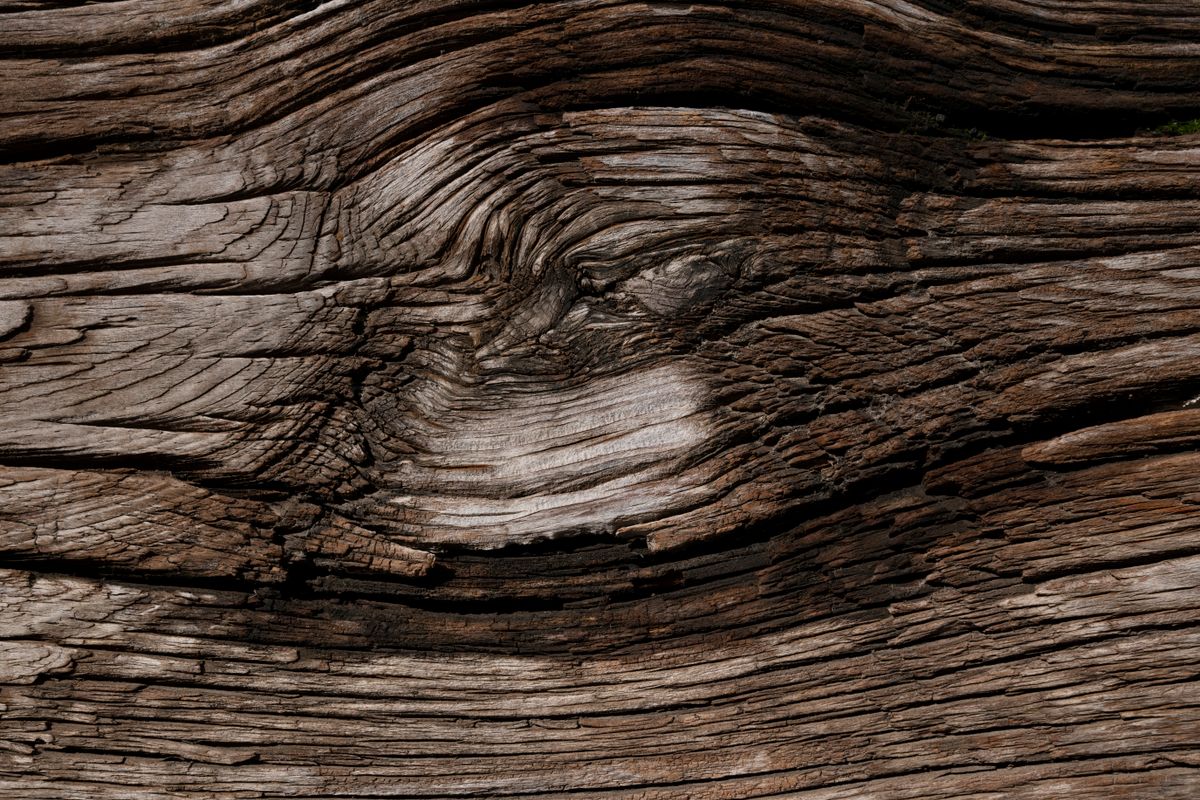 Woody Notes