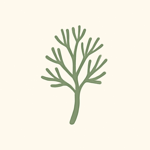 Dill