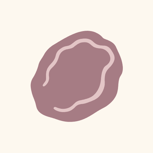 Dried Plum