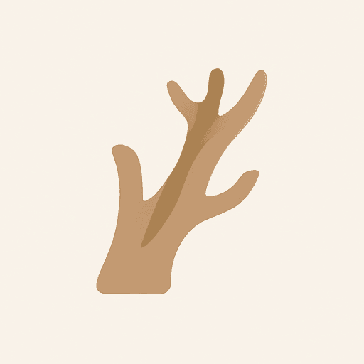 dry wood