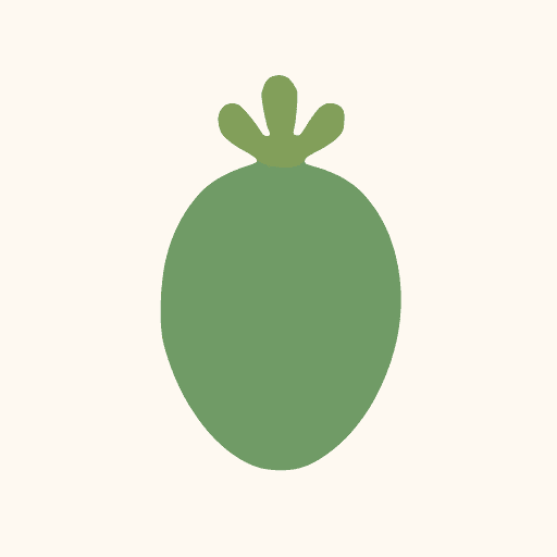 Feijoa Fruit