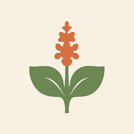 Indian Patchouli