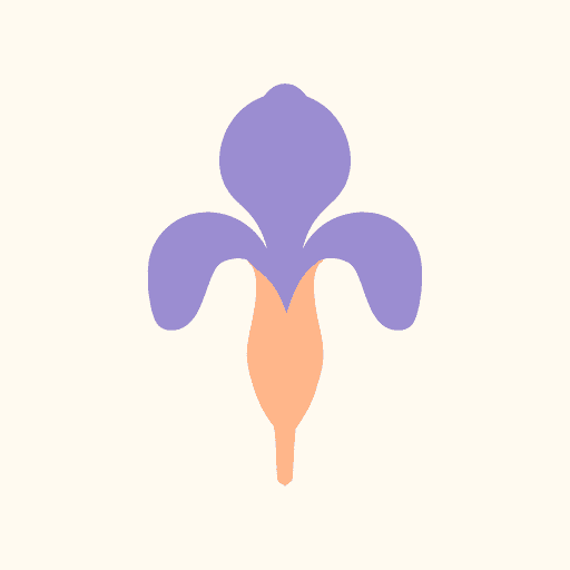 iris flower