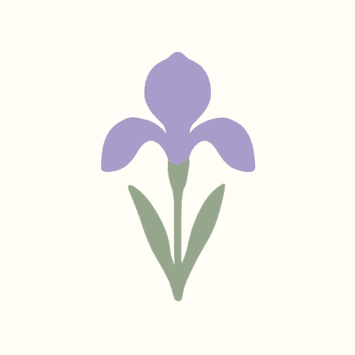 Italian Iris