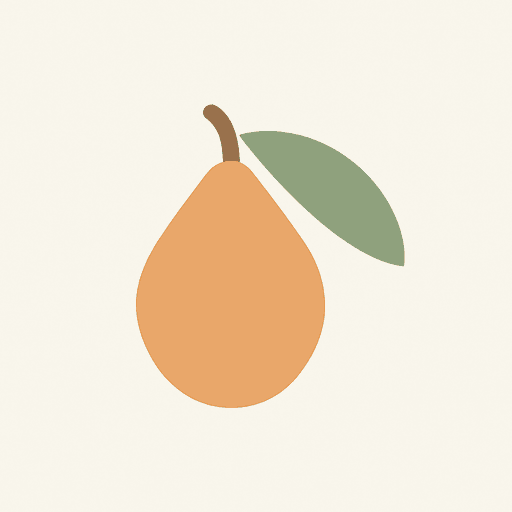 Japanese Loquat