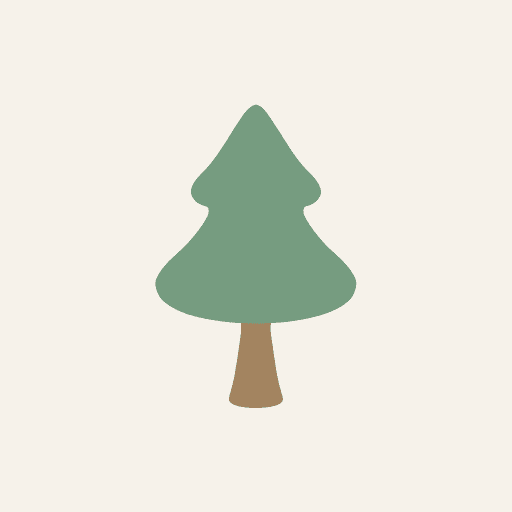 larch