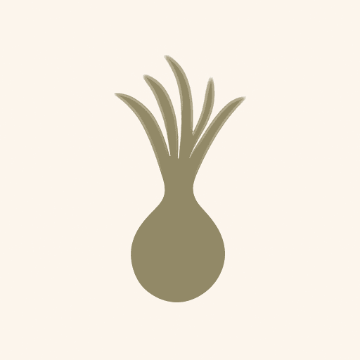 madagascar vetiver