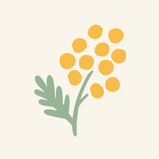 Mimosa