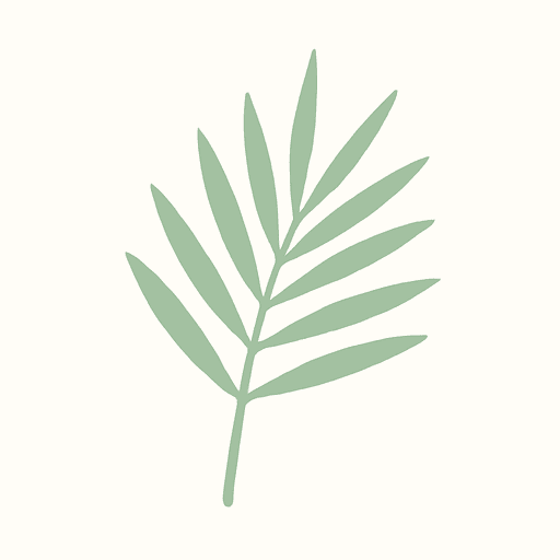 palm leaf