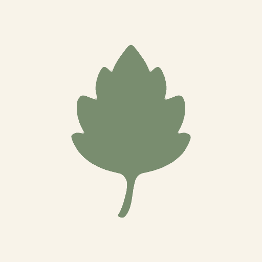 Patchouli Leaf
