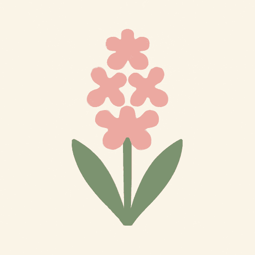 Pink Hyacinth
