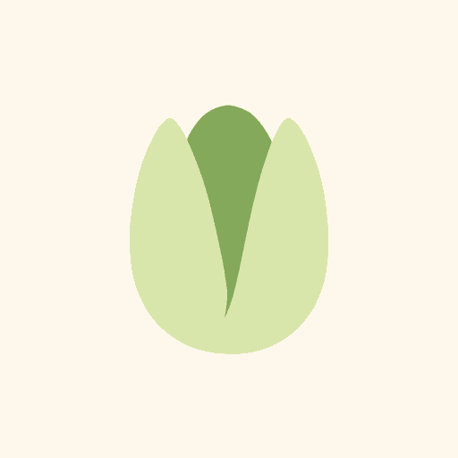 pistachio