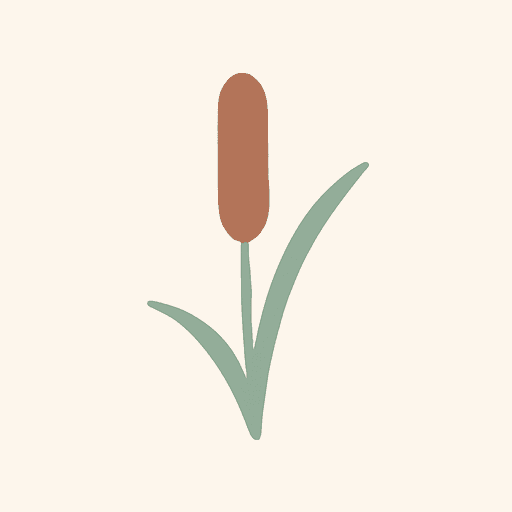 Reed