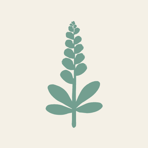 Reseda