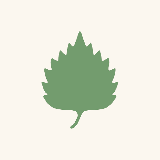 Shiso