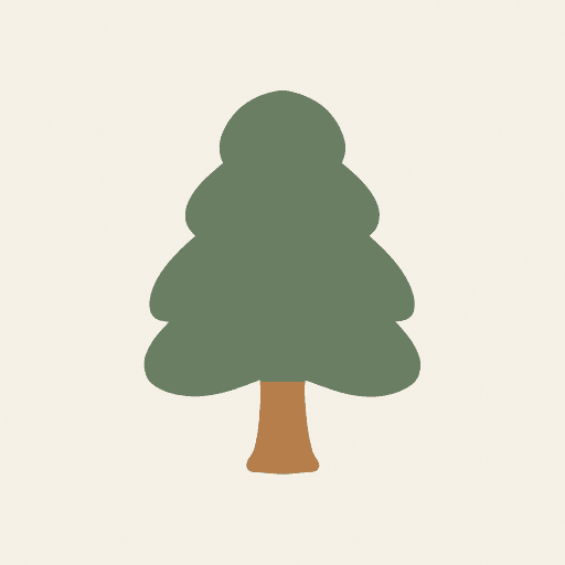 Siberian Pine