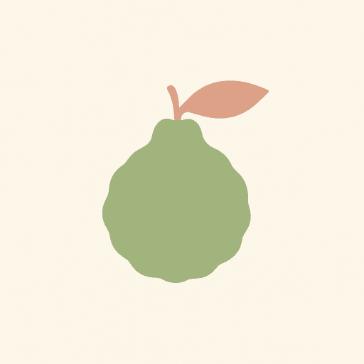 Sicilian Bergamot