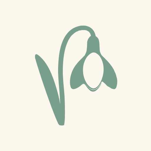 Snowdrops
