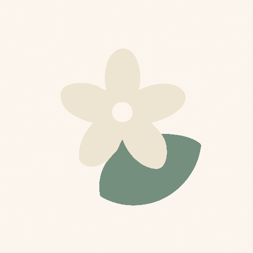 Stephanotis