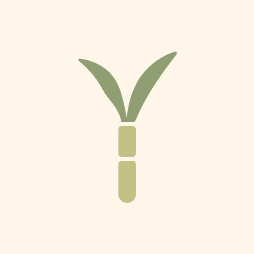 Sugar Cane