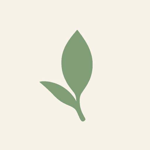 Tea Leaf