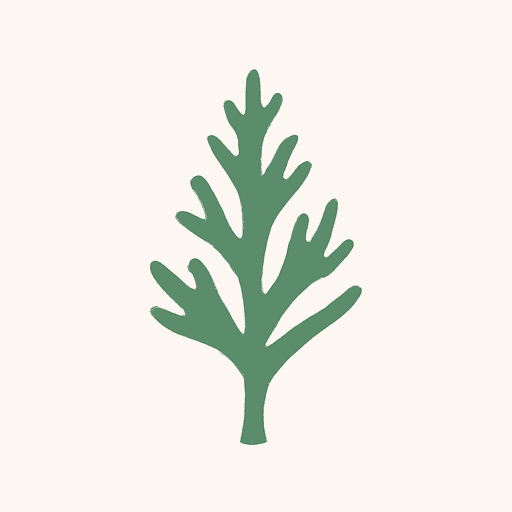 Thuja