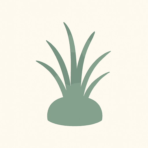 Vetiver