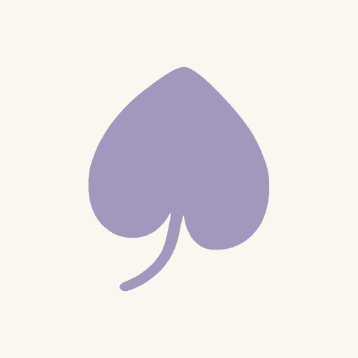 violet leaf