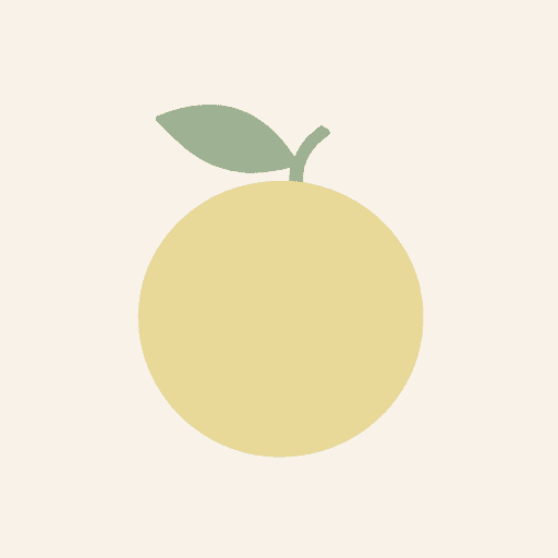 White Grapefruit