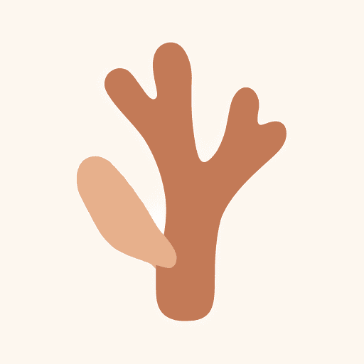woodsy notes