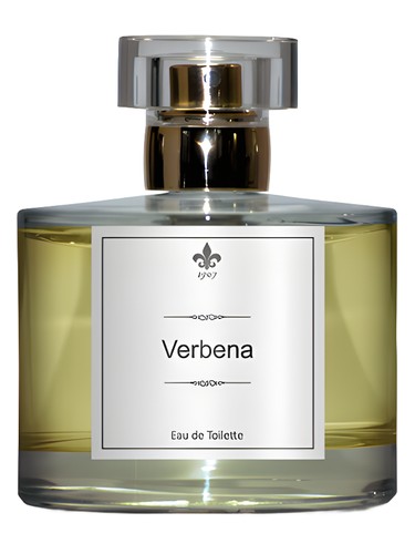 Verbena